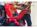 Gregory Targhee 45L Snow Pack Gamma Red