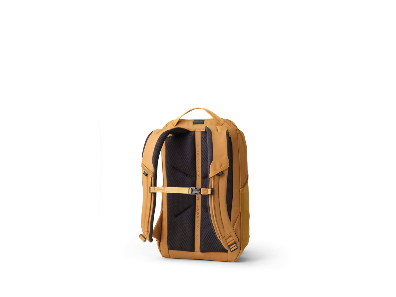 Gregory Terros 20L Backpack