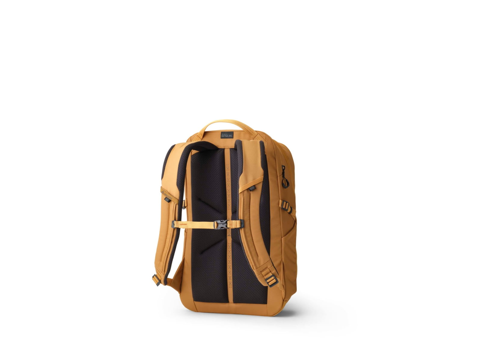Gregory Terros 25L Backpack