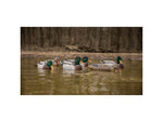 Higdon Outdoors 17053 Magnum Mallard Foam Filled Floaters Multi Color Mallard