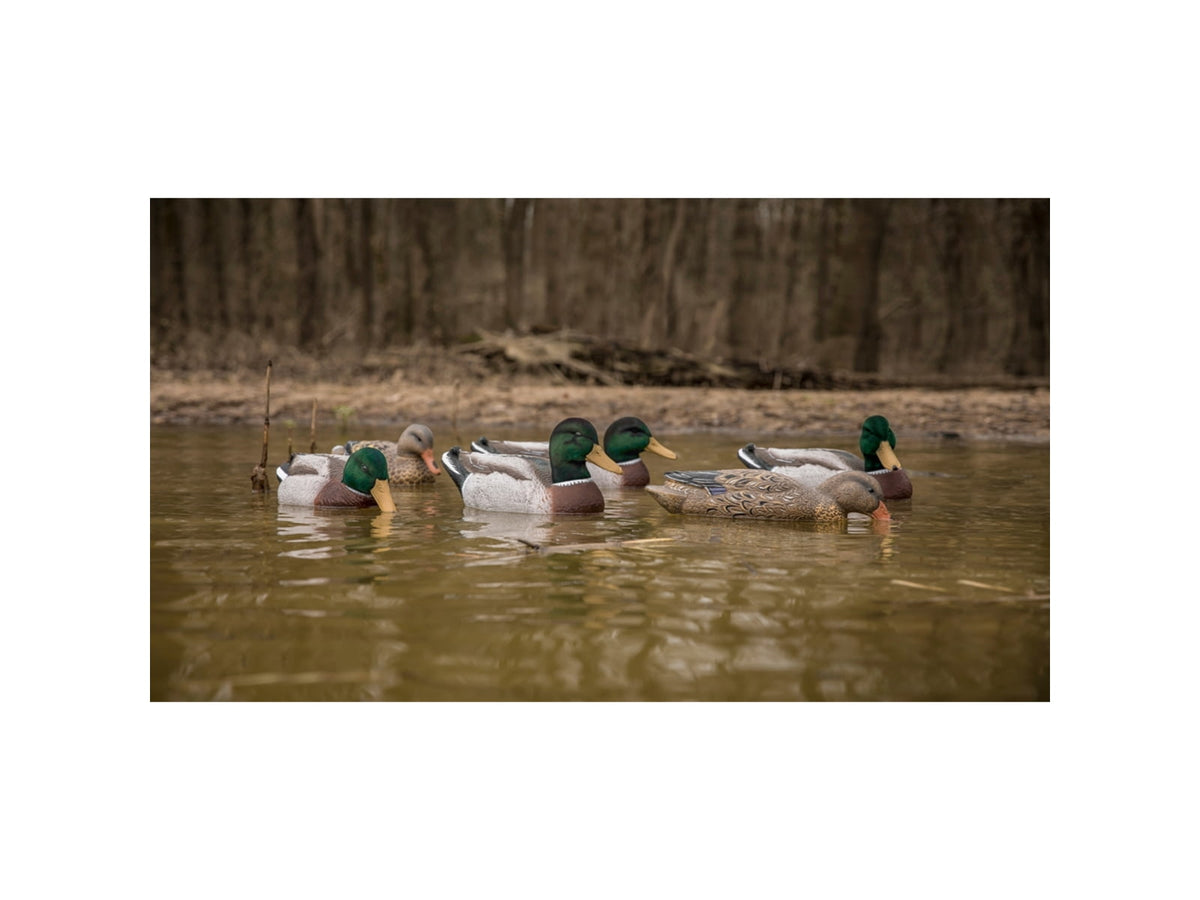 Higdon Outdoors 17053 Magnum Mallard Foam Filled Floaters Multi Color Mallard