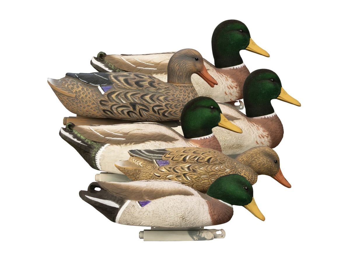 Higdon Outdoors 17053 Magnum Mallard Foam Filled Floaters Multi Color Mallard