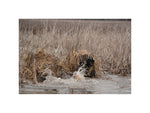 Higdon Outdoors 31528 MOmarsh Invisi-man Blind Optifade Marsh