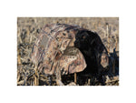 Higdon Outdoors 34018 Invisi-Lab Dog Blind Optifade Marsh 31 X 24 X 21