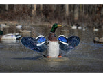Higdon Outdoors 53077 XS Splashing Flasher Mallard Drake Multi Color Rechargeable