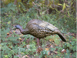 Higdon Outdoors Hard Body Feeder Hen Turkey Decoy 63122