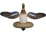 Higdon Outdoors 53072 XS Floating Flasher Mallard Drake Species Multi Color 53072