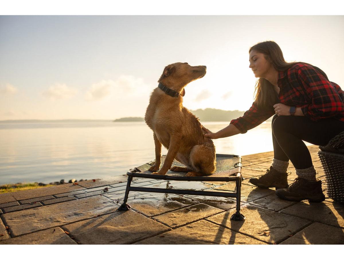 Higdon Outdoors MOmarsh Home Cot Breeze Elevated Pet Bed A31F740A HG34095