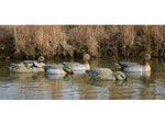 Higdon Outdoors Standard Green Wing Teal Pack Multi Color Foam Filled 6 Pack 19943