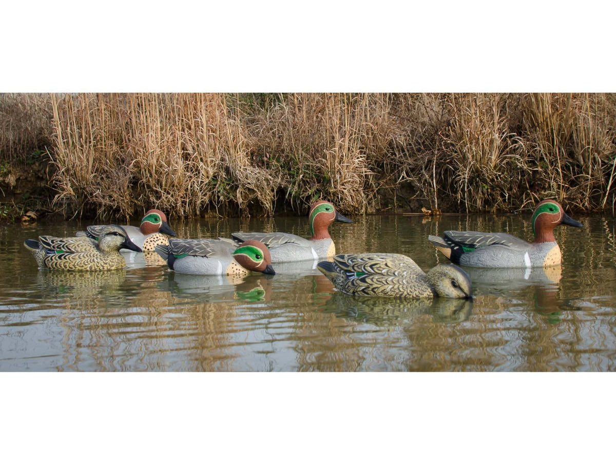Higdon Outdoors Standard Green Wing Teal Pack Multi Color Foam Filled 6 Pack 19943