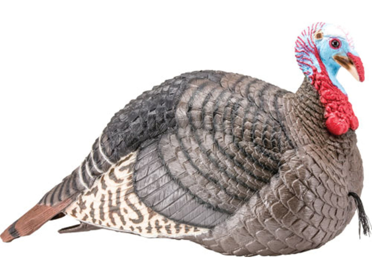 Hunters Specialties Strut-Lite Jake Turkey Decoys HS-STR-100003
