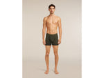 Icebreaker Merino 150 Anatomica Boxers w/ Fly