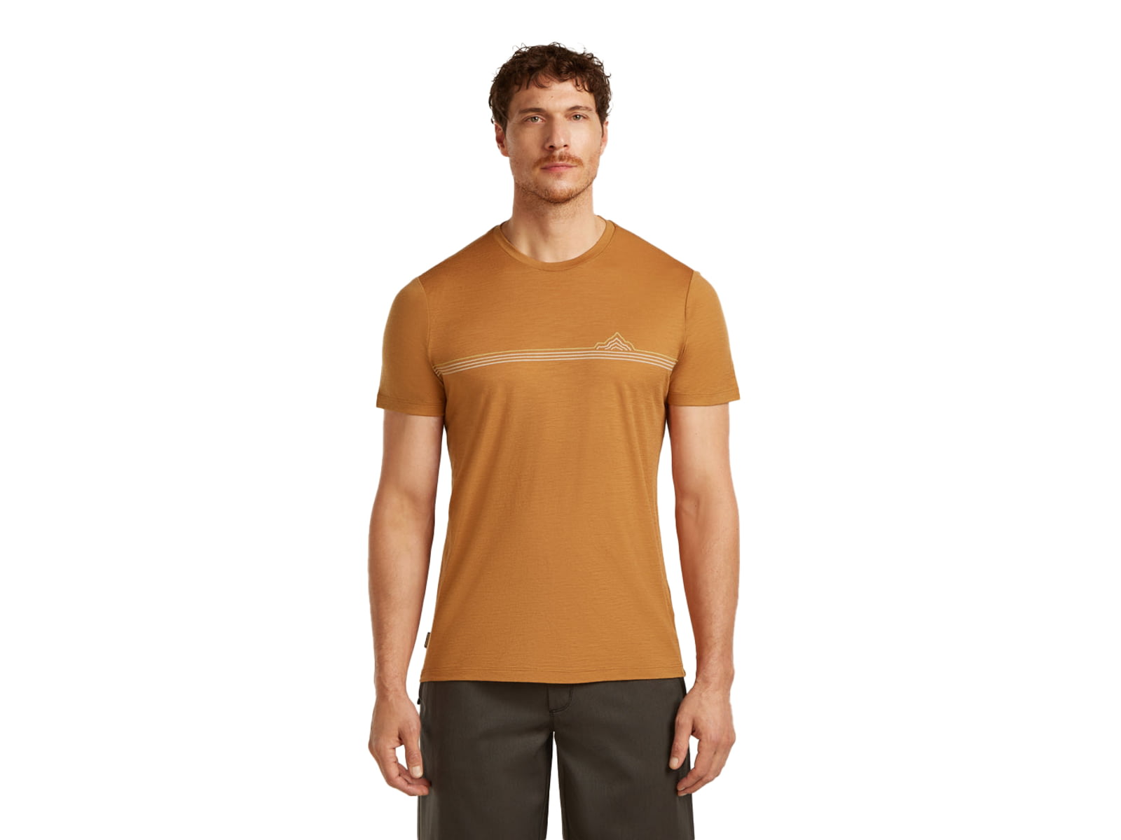 Icebreaker Merino 150 Tech Lite Short Sleeve Range Stripes T-Shirt - Men's