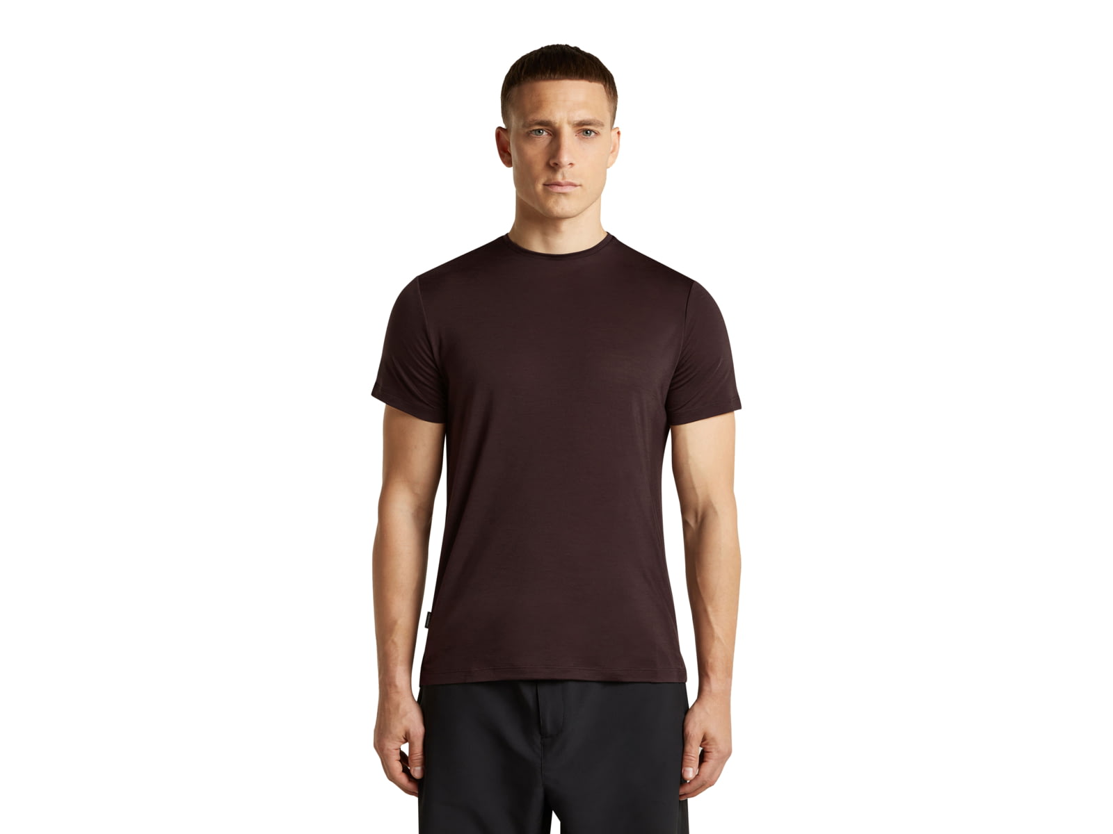 Icebreaker Merino Blend 125 Cool-Lite Sphere Short Sleeve Tee - Men's