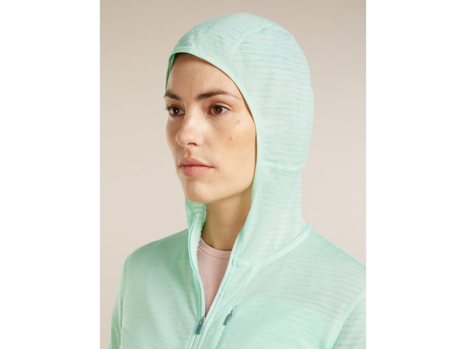 Icebreaker Merino Blend 200 RealFleece Descender