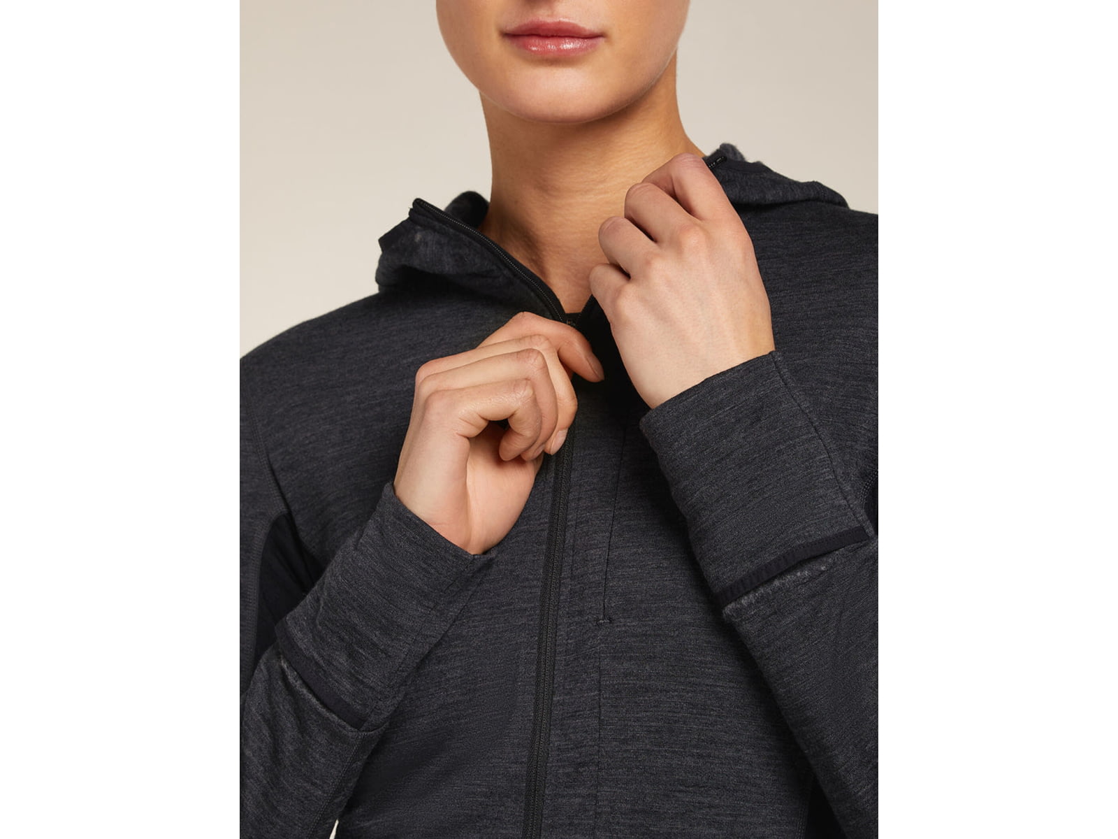 Icebreaker Merino Blend 200 RealFleece Descender