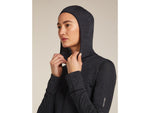 Icebreaker Merino Blend 200 RealFleece Descender