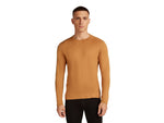 Icebreaker Merino 260 Tech Long Sleeve Crew Thermal Top - Men's Trail