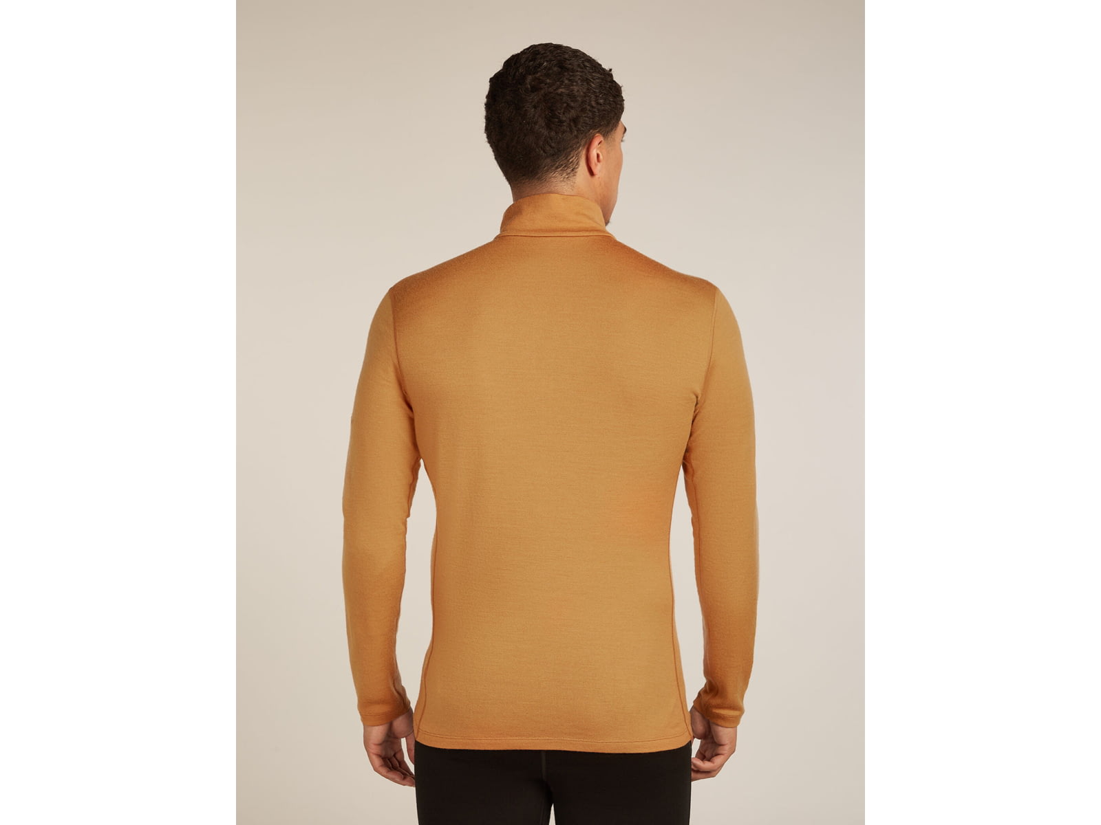 Icebreaker Merino 260 Tech Long Sleeve Half Zip Thermal Top - Men's