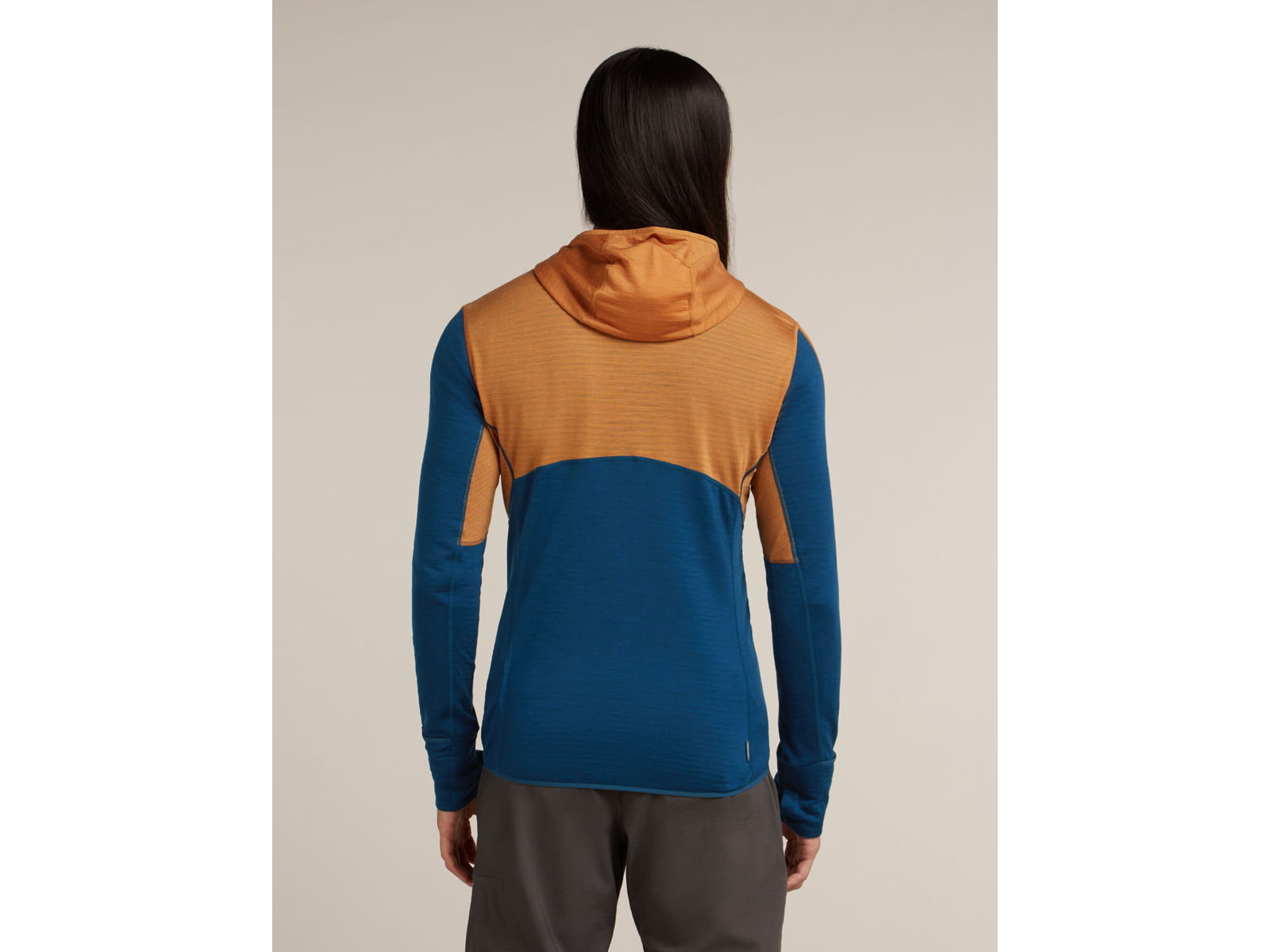 Icebreaker Merino Blend 200 RealFleece Descender Long Sleeve Zip Hoodie - Men's