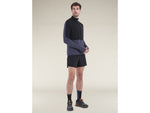 Icebreaker Merino Blend 200 RealFleece Descender LS Half Zip Hoodie - Men's