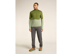 Icebreaker Merino Blend 200 RealFleece Descender LS Half Zip Hoodie - Men's