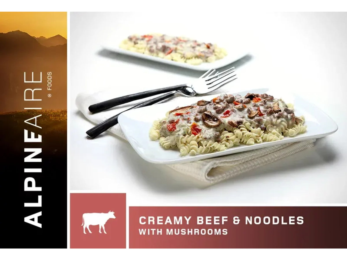 Katadyn Creamy Beef