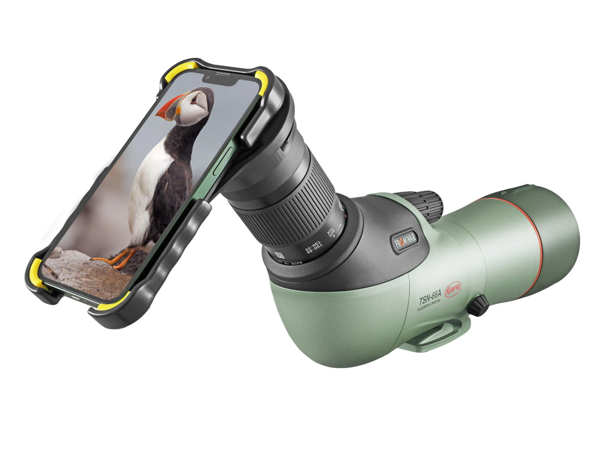 Kowa TSN-66A ZM Prominar 25-60x Spotting Scope Set Powder Coated Green TSN-66A ZM SET