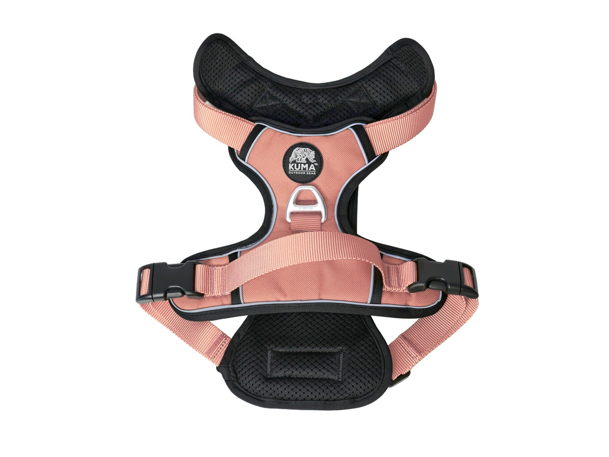 Kuma Outdoor Gear Lazy Bear Dog Harness Medium Flamingo Medium