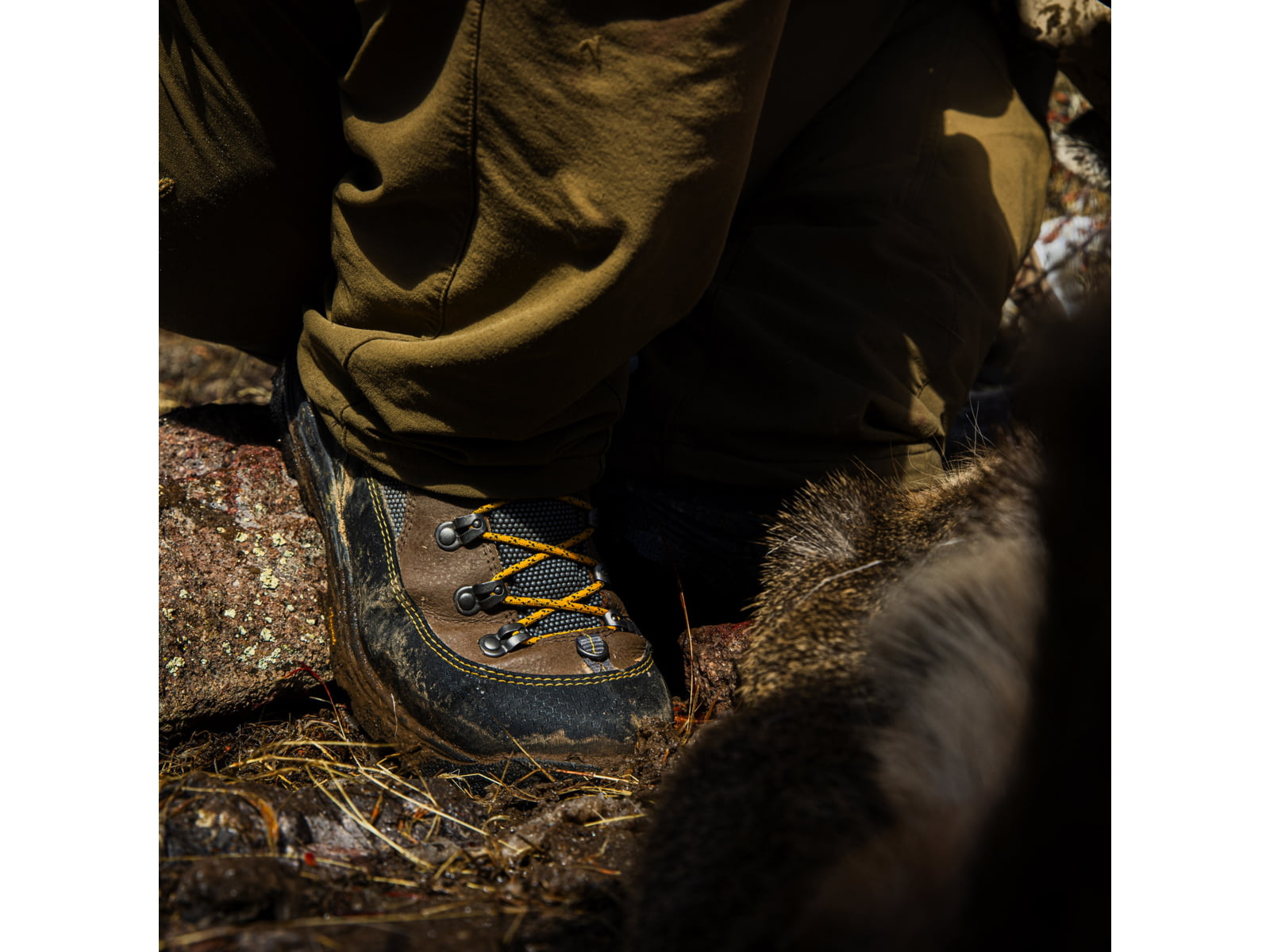LaCrosse Footwear Ursa MS 7in GTX Boots - Men's Brown/Gold 15 US Medium