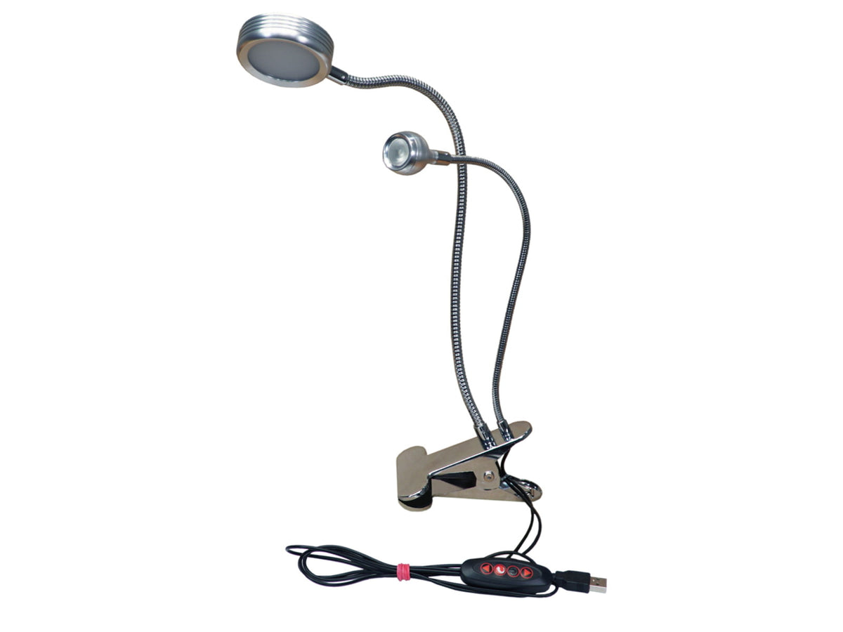 Last Chance Double Bright Light Silver DBG1001