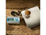 LEM Products 330lb Digital Scale Stainless Steel
