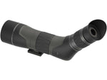 Leupold SX-2 Alpine HD Gen 2 20-60x60mm Spotting Scope Angled 14.3in Length Grey/Black