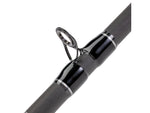 Lew's TP2 Casting Rod