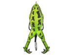 Lunkerhunt Prop Turtle Combo Assortment PROPTRCOM01