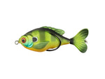 Lunkerhunt Prop Turtle Combo Assortment PROPTRCOM01