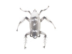 Lunkerhunt Reckless Roach Soft Bait 1 2in