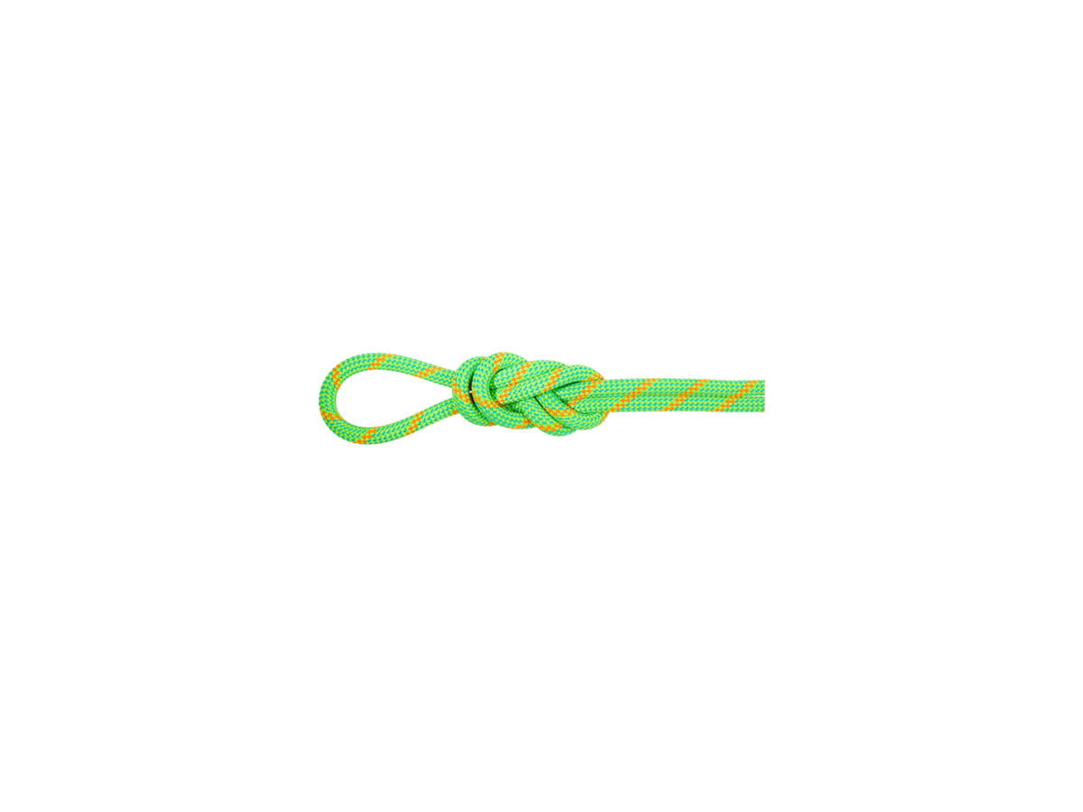 Mammut 8.0 Alpine Dry Rope