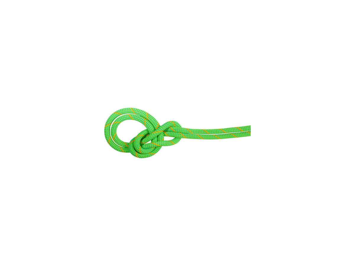 Mammut 9.5 Crag Dry Rope