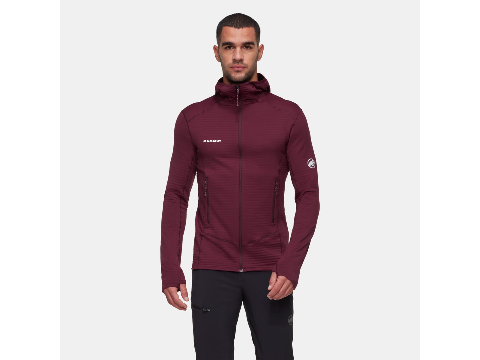Mammut Taiss Light ML Hooded Jacket - Men's