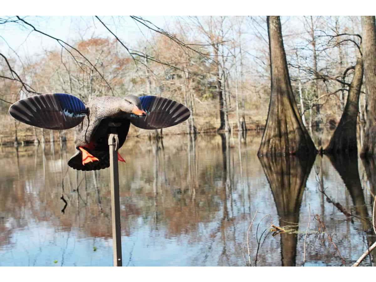 Mojo Mallard Elite Series Mini Mallard Hen Decoy Plastic HW24713P