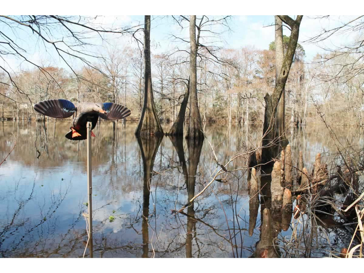 Mojo Mallard Elite Series Mini Mallard Hen Decoy Plastic HW24713P
