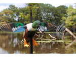 Mojo Elite Series Spoonzilla Mallard Drake Decoy