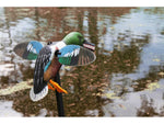 Mojo Elite Series Spoonzilla Mallard Drake Decoy