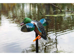 Mojo Elite Series Spoonzilla Mallard Drake Decoy