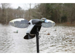 Mojo Es Diver Bluebill Decoy Bluebill HW2493