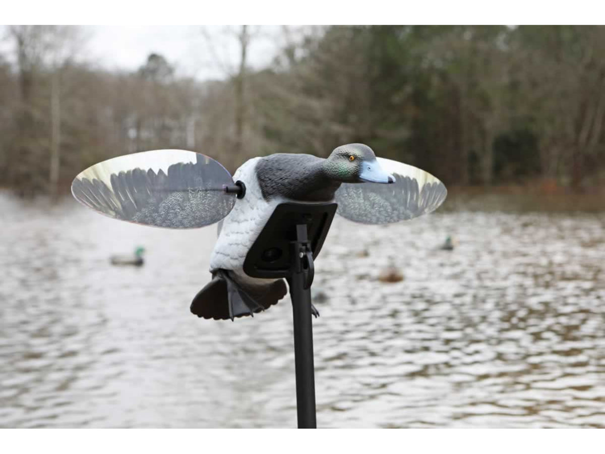 Mojo Es Diver Bluebill Decoy Bluebill HW2493