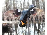 Mojo ES Gadwall Decoy HW24733P