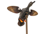 Mojo ES Gadwall Decoy HW24733P