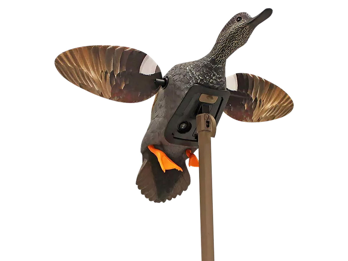 Mojo ES Gadwall Decoy HW24733P